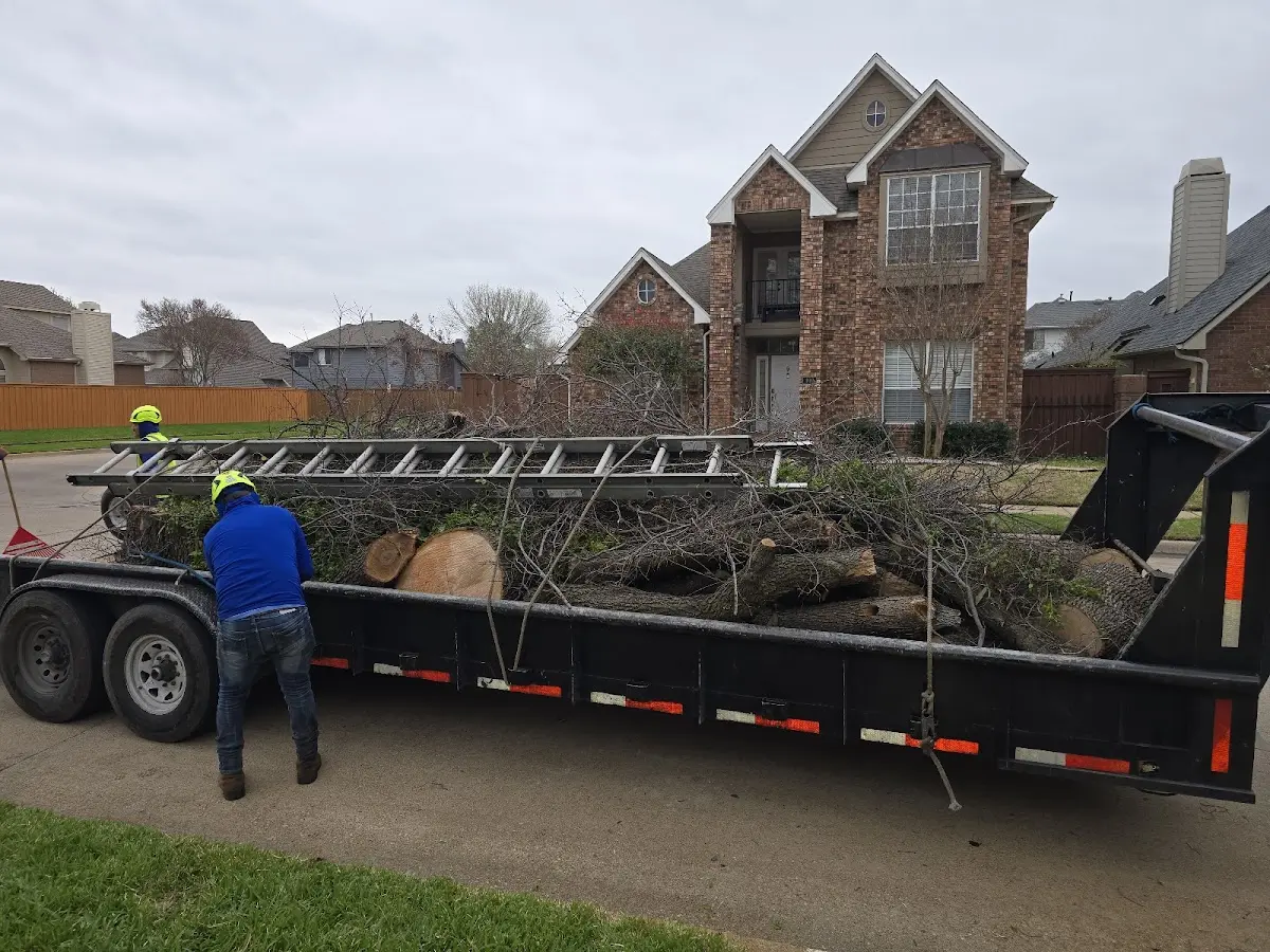 Expert Tree Fertilization with proper safety equipment in Frierson